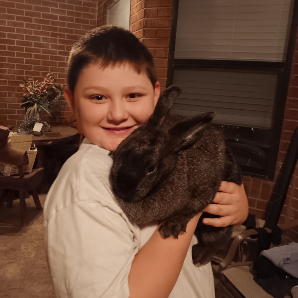 Meet your Posher, Raylene - Picture 2 of 9